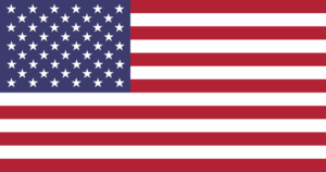 united states of america flag medium